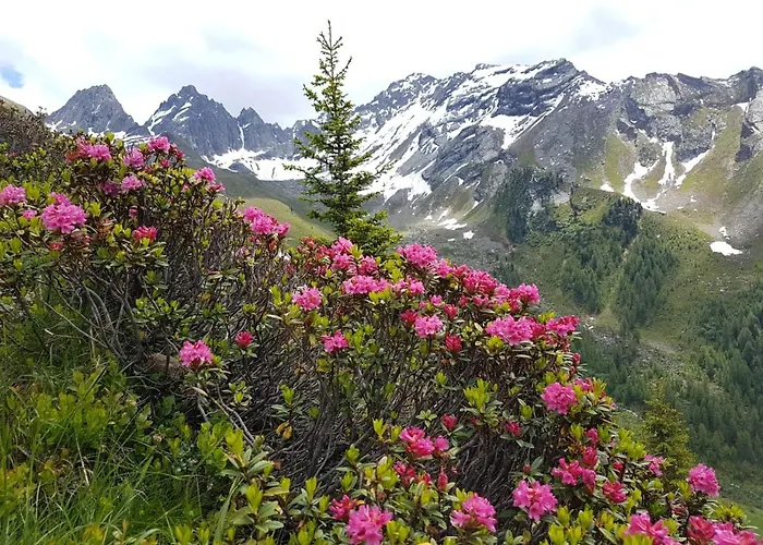 Apartment Naturnah *