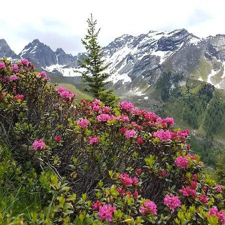 Apartament Naturnah *